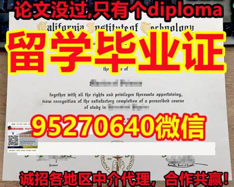 东伦敦大学毕业证双学位证书 Ppt