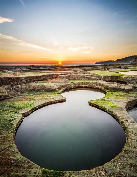 The Royal National Park | DinoAnimals.com