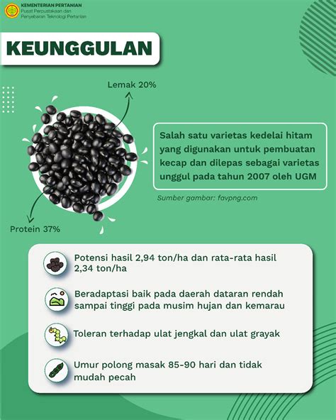 Mengenal Mallika Varietas Unggul Kedelai Hitam