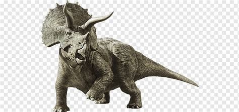 Triceratops cinzento Triceratops Brachiosaurus Gallimimus Evolução