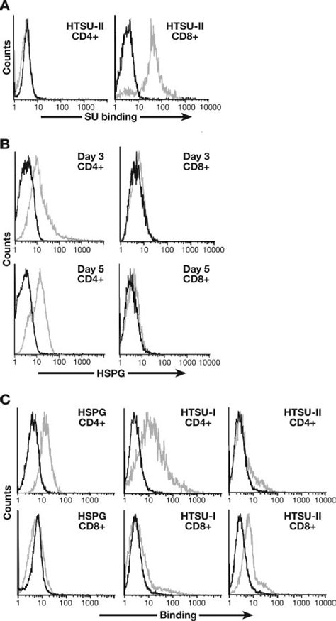 Expression Of Hspgs And The Level Of Htlv Su Binding On Cd And Cd T