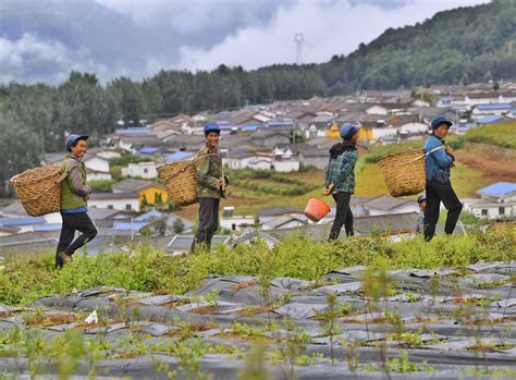 Factbox Four Takeaways From China S Poverty Alleviation Drive Xinhua