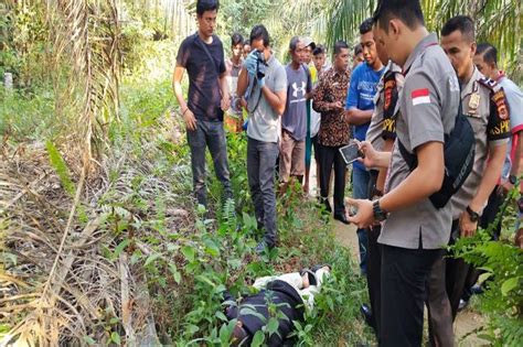 Heboh Mayat Tukang Ojek Ditemukan Di Kebun Sawit