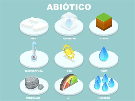 O Que São Componentes Abióticos - Assinale A Alternativa Que Contém Apenas Fatores Abióticos: - FDPLEARN