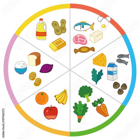 5大栄養素を多く含む食品例のイラスト素材（図） Stock ベクター Adobe Stock