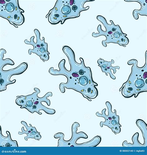 Structure Of An Amoeba Proteus Cartoon Vector 34406447