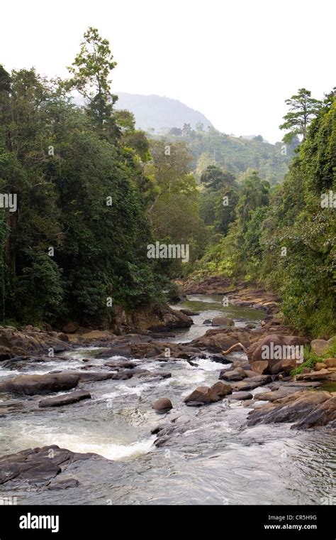 Gin River, just below Sathmala Falls, Sathmala, Southern, Sri Lanka ...