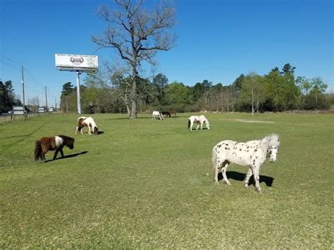 15 Places to Spend the Day, In and Around Humble, Texas