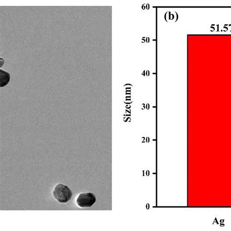 A Tem Of Agnps Cys B Dls Characterization Of Agnps And Agnps Cys