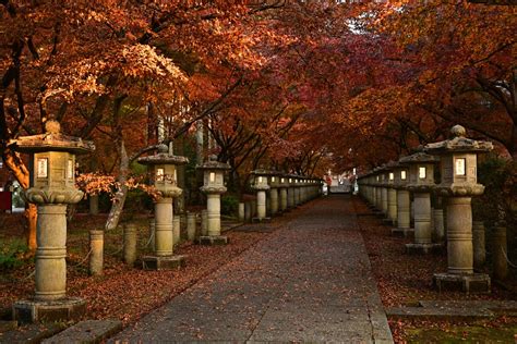 【日本の絶景クイズ】お寺の参道に現れる紅葉のトンネルが見られるのはどの都道府県？22 All About ニュース