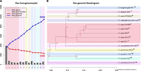 Frontiers Genomic And Phenotypic Biology Of Novel Strains Of Dickeya