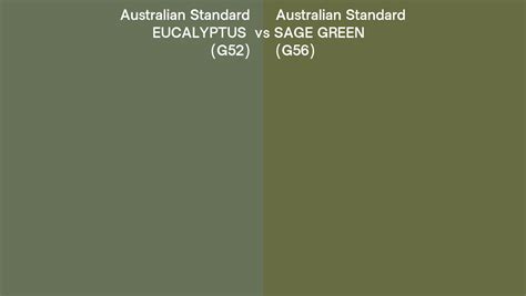 Australian Standard Eucalyptus Vs Sage Green Side By Side Comparison