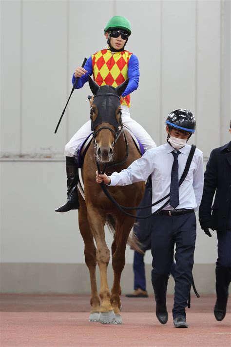 【チャンピオンズc】テーオーケインズまさかの4着 高柳大師「伸びなかったのは分からない」 競馬写真ニュース 日刊スポーツ