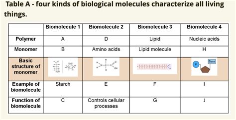 Solved Table Four Kinds Of Biological Molecules Characterize All