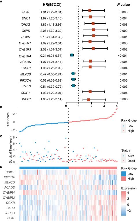 Frontiers Establishment And Validation Of A Carbohydrate Metabolism