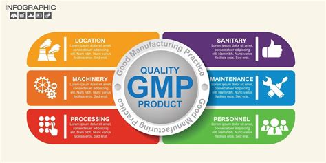 Gmp Good Manufacturing Practice 6 Heading Of Infographic Template With