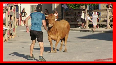 ARGUEDAS NAVARRA TARDE VACAS EN CALLE JUEVES 10 AGOSTO 2023