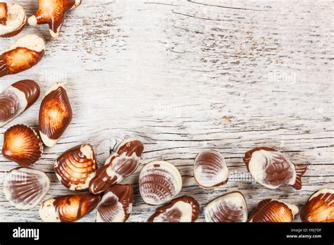 Chocolate seashell candies Stock Photo - Alamy