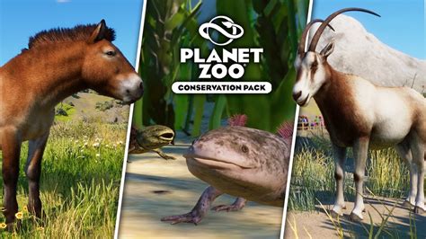 Axolotls Flowers Gutters And More New Screenshots Planet Zoo