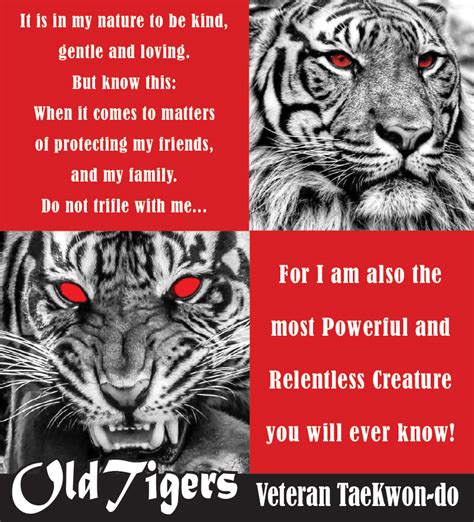 Old Tigers Veteran Taekwondo ICENI TAEKWON DO The Art Of Self Defence