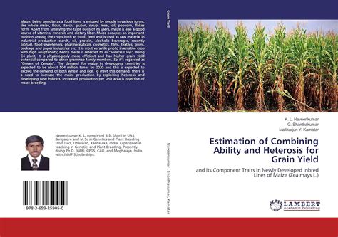 Estimation Of Combining Ability And Heterosis For Grain Yield And Its