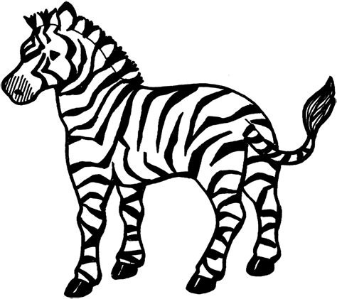 Free Zebra Pictures To Color, Download Free Zebra Pictures To Color png ...