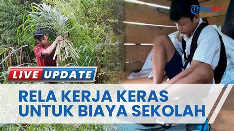 Perjuangan Remaja Tahun Asal Tana Toraja Kerja Serabutan Untuk