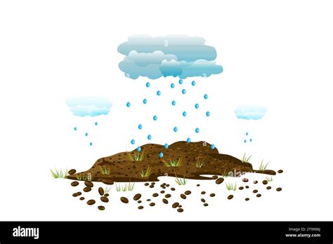 Rain of cloud falling on pile soil with grass. Earth, young plant and ...