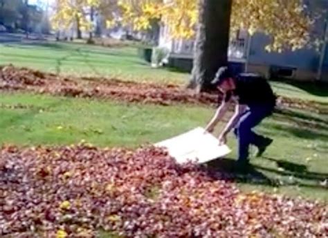 Sa Technique Pour Ramasser Les Feuilles Vous Laissera Bouche B E