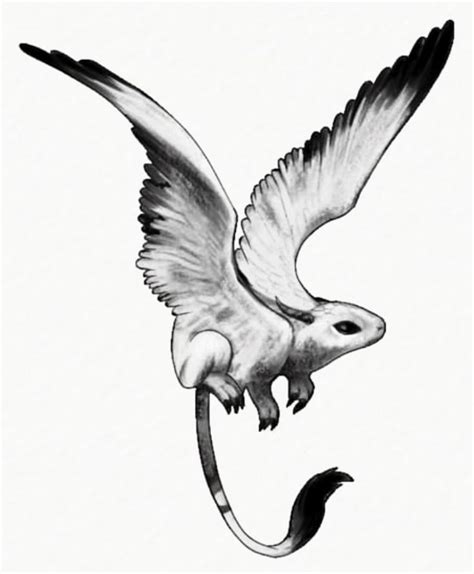 An Ink Drawing Of A Bird Flying With Its Wings Spread Out And The Tail