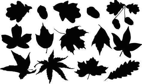 Silhouette fall leaf collections 46888468 Vector Art at Vecteezy