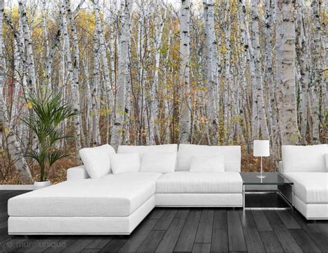 For T De Bouleaux L Infinie Mural Wallpaper Birch Forest Mural