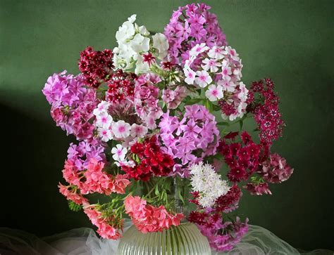 4K Bouquets Carnations Pink Color HD Wallpaper Rare Gallery