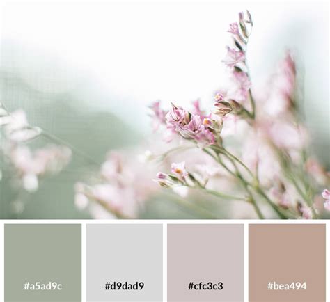 20 Pastel Color Palettes To Get The Rococo Art Look, 60% OFF