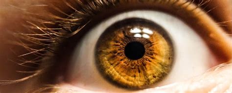 The Birth Of Modern Man The Eyes Can Reveal If Someone Has Aphantasia