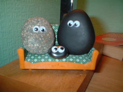 Never Seen Pet Rocks Before But Heres A Selection Of Popular Toys From