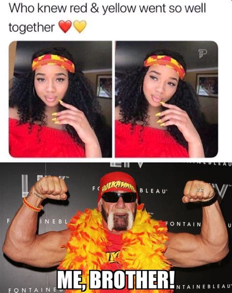 Hulk Hogan meme, brother! : WWE