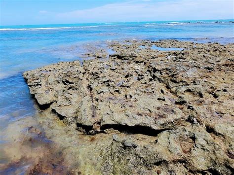 Praia do Espelho (Trancoso) - 2020 All You Need to Know BEFORE You Go ...