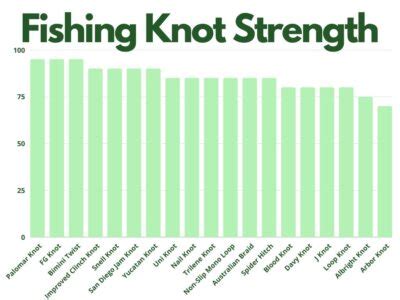 Fishing Knot Strength Chart For Anglers [Ranked] – All Fishing Gear