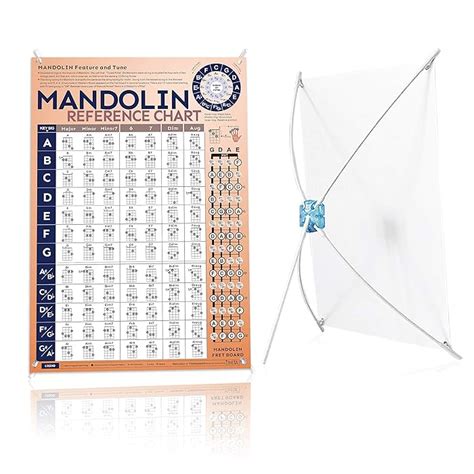 Buy Mandolin Chord Chart Laminated Of Popular Mandolin Chords