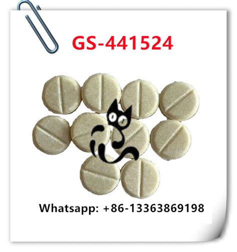 Gs Tablets Mg Treatment Cat Fip Gs Hebei Weimiao