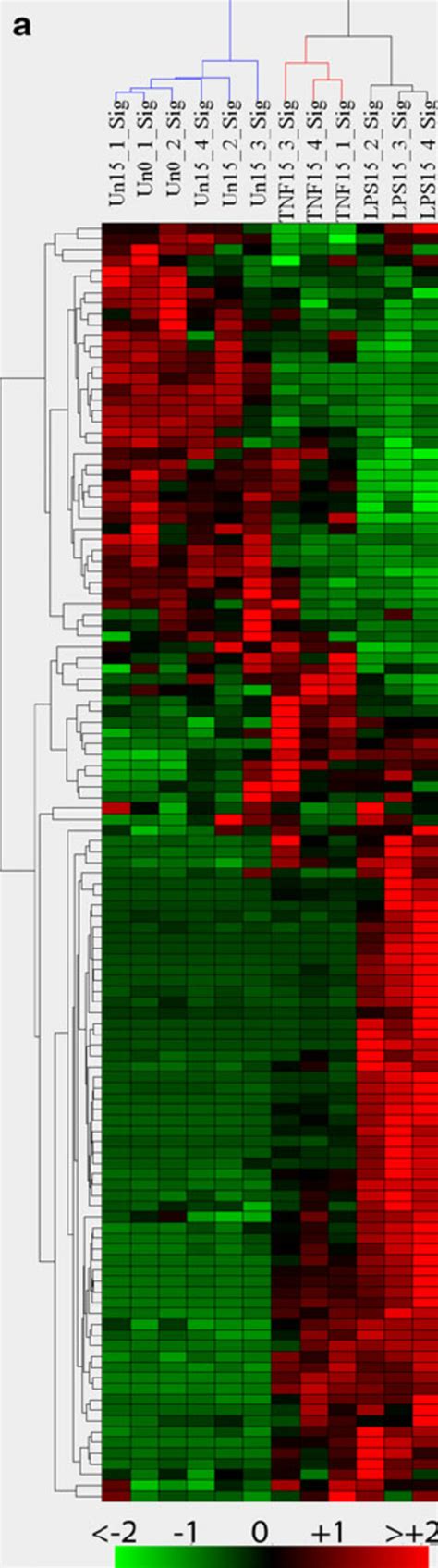 Cytokine – cytokine receptor gene expression profile with b functional... | Download Scientific ...