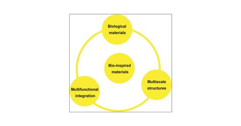 Multifunctional Integration From Biological To Bio Inspired Materials