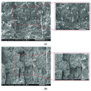 SEM Micrograph For Tensile Fracture Surface Of The Specimen In