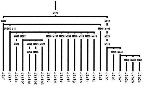 Haplogroup J2 (Y-DNA) | Familypedia | Fandom powered by Wikia