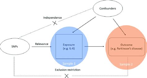 Graphical Representation Of The Mr Assumptions [ I Relevance Ii Download Scientific Diagram