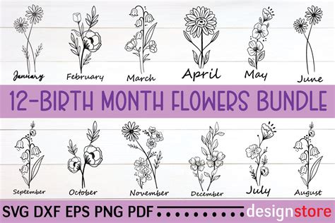 Birth Month Flowers Svg Bundle Ubicaciondepersonas Cdmx Gob Mx