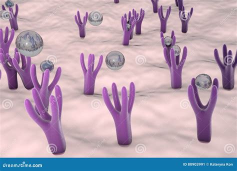 Cellular Membrane With Receptors Royalty-Free Stock Photography | CartoonDealer.com #83006765