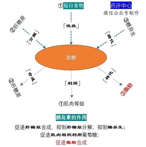 图解：七类口服降糖药物的特点和选择方法！患者