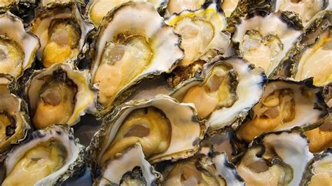 Man Dies From Bacterial Infection After Eating Raw Oysters Sold At Missouri Seafood Stand Fox